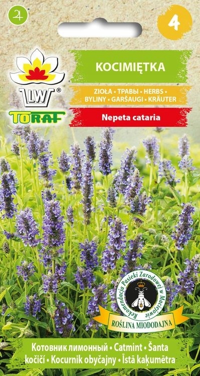 Naistenõges (Catmint)