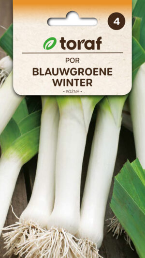 Porrulauk Blauwgroene winter