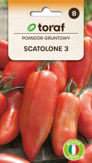 Tomat Scatolone 3