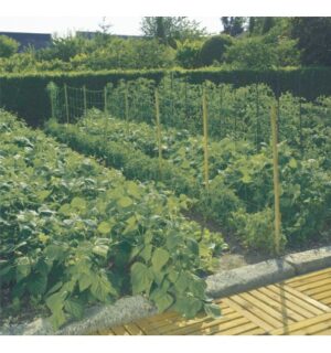 Plastikvõrk taimedele 2x10m