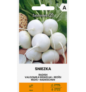 REDIS ŚNIEŻKA