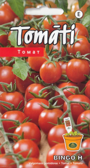 Tomat Bingo H