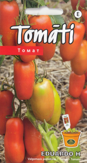 Tomat Eduardo H