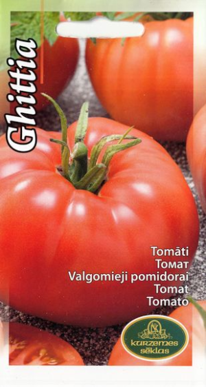 Tomat Ghittia