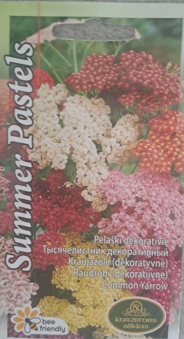 Raudrohi Summer Pastels