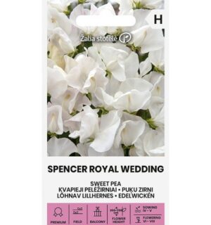 Lillhernes Spencer Royal Wedding