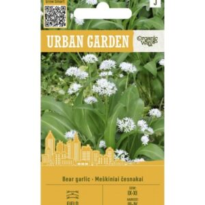 Karulauk Bear Garlic Urban Garden seemnepakend