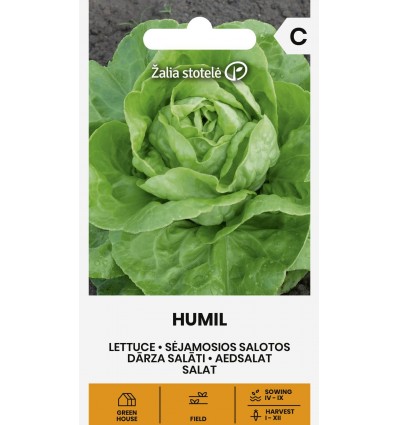 Salat Humil