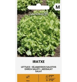 Salat Iratxe