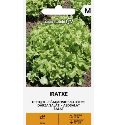 Salat Iratxe
