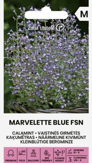 Näärmeline kivimünt Marvelette Blue FSN
