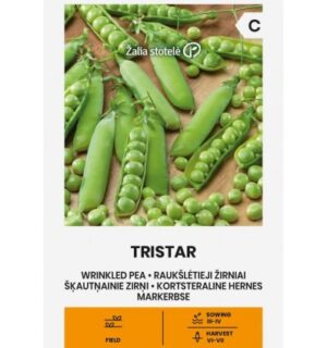 Hernes Tristar