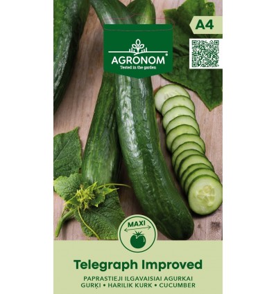 Kurk Telegraph Improved