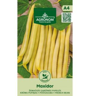Põõsasuba Maxidor