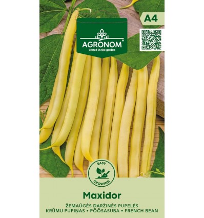 Põõsasuba Maxidor