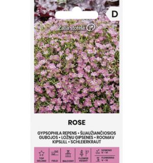 Roomav kipslill Rose