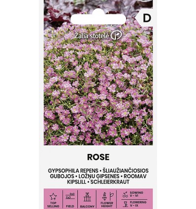 Roomav kipslill Rose