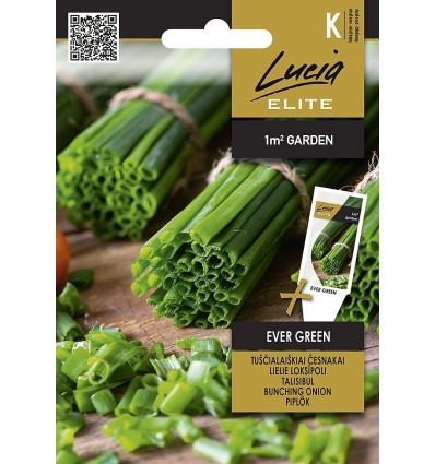 Talisibul Ever Green