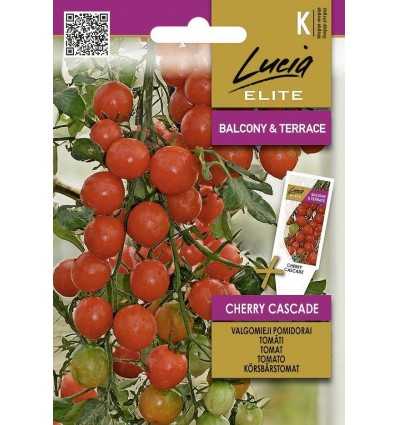 Tomat Cherry Cascade