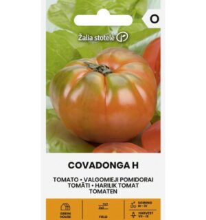 Tomat Covadonga H