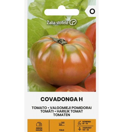 Tomat Covadonga H