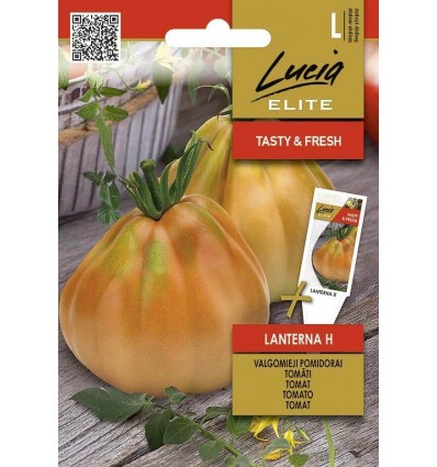 Tomat Lanterna H