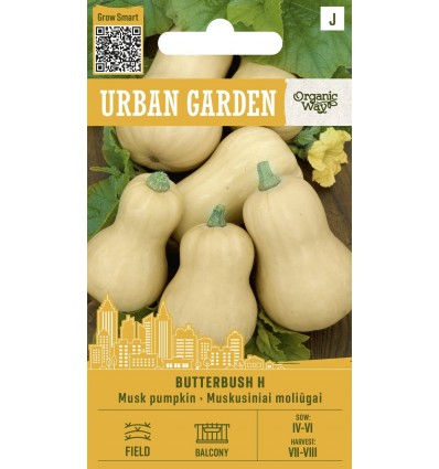 Muskaatkõrvits Butterbush H