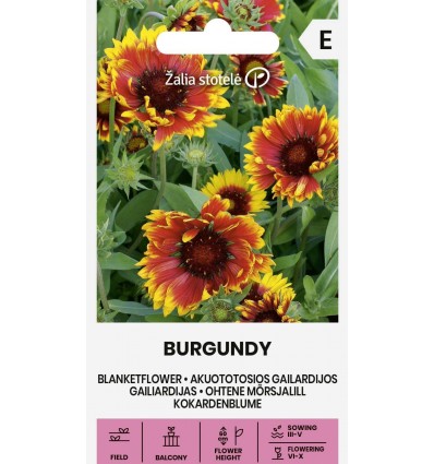 Ohtene mõrsjalill Burgundy