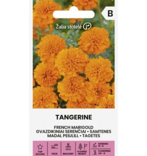 Peiulill Tangerine
