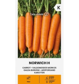Porgand Norwich H