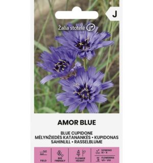 Sinine sahinlill Amor Blue