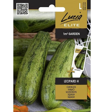 Suvikõrvits Leopard H