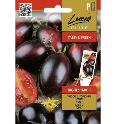 Tomat Night Shade H