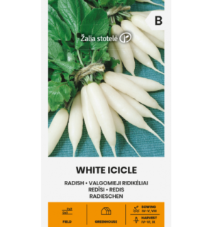 Valge redis White Icicle