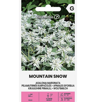 piimalill-mountain-snow