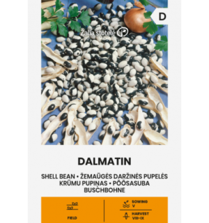 Aeduba Dalmatin*6