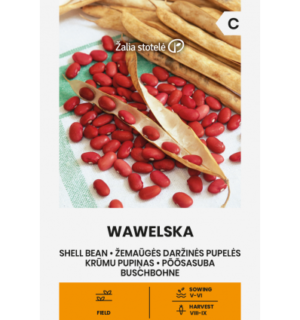 Põõsasuba Wawelska*6