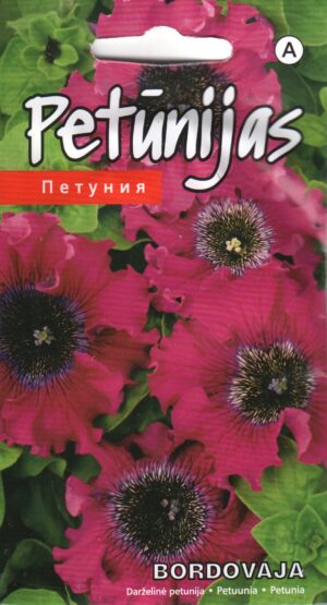 Petuunia Bordovaja
