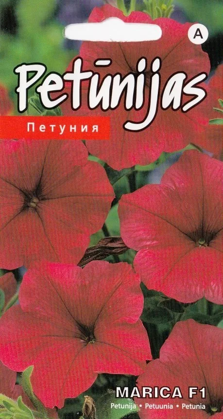 Petuunia Marica F1