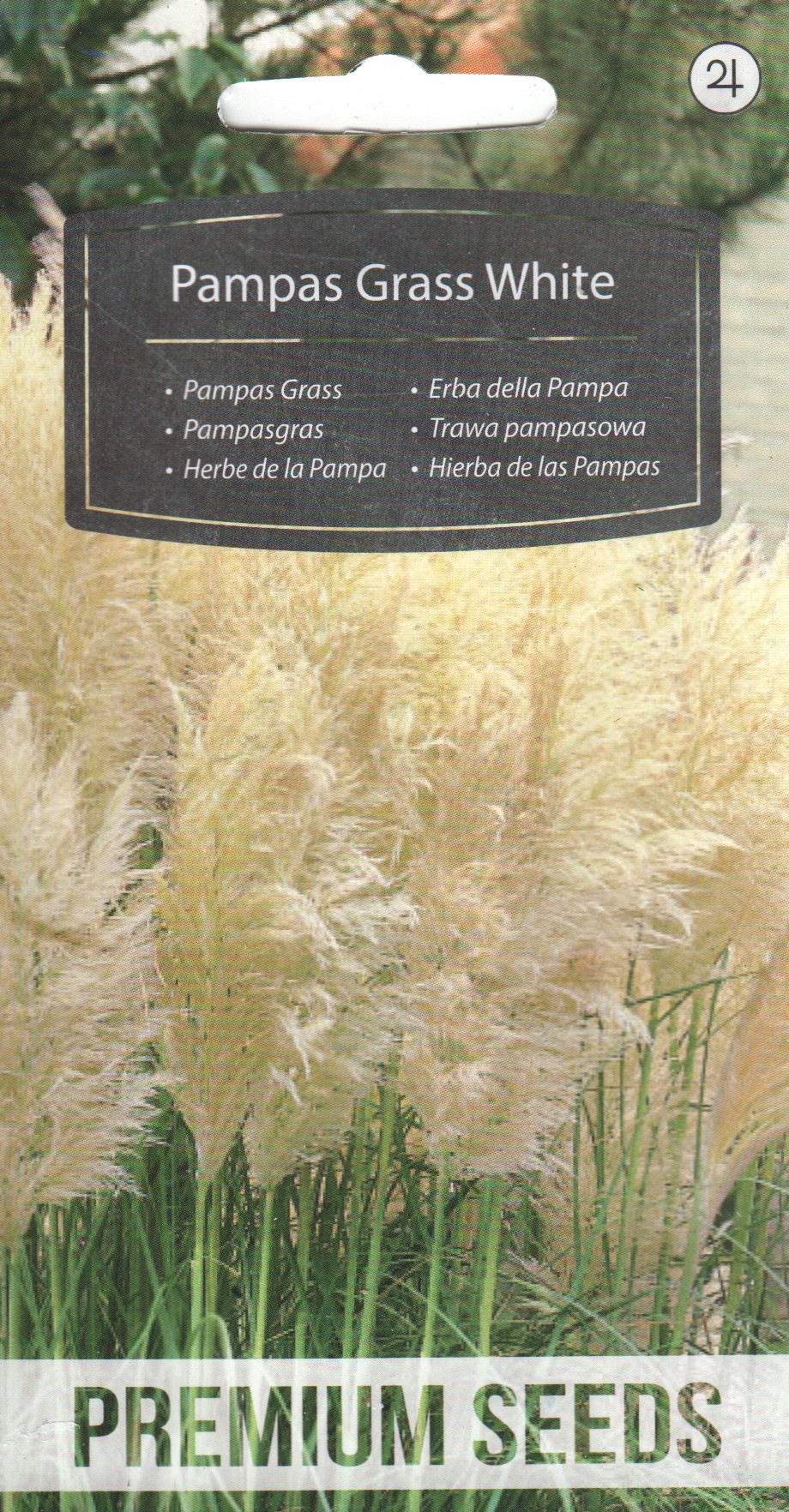 Argentiina pamparohi