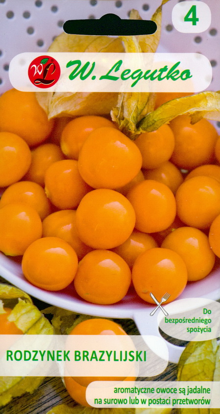 Brasiilia kirssfüüsal