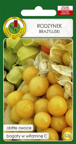 Brasiilia kirssfüüsal