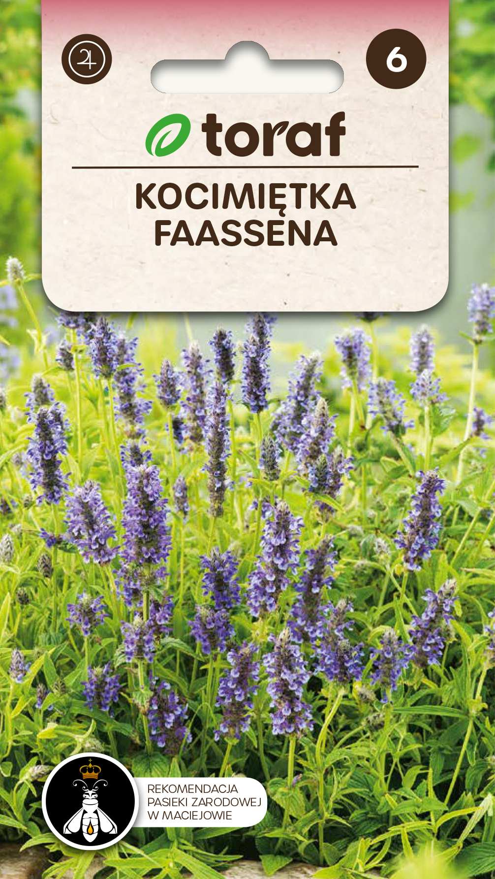 Faaseni naistenõges