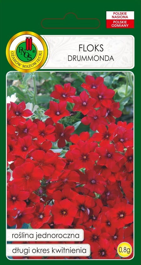 Floks Drummonda