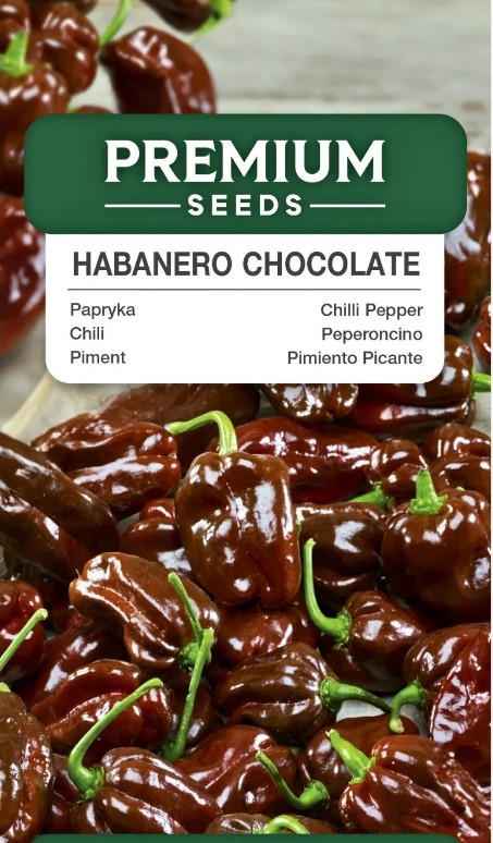 Habanero chocolate