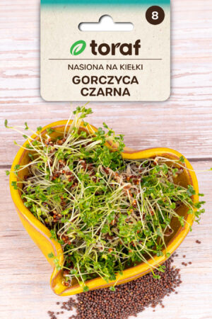 Kapsarohi idandamiseks