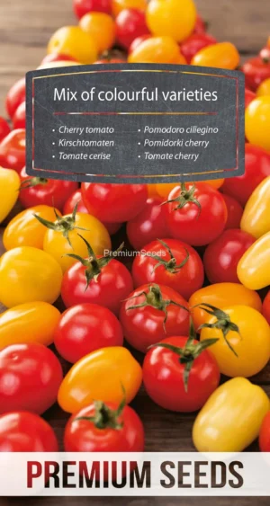 Kirsstomat Mix of colourful varieties