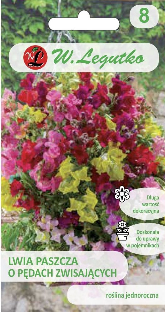 Lõvilõug rippuv segu