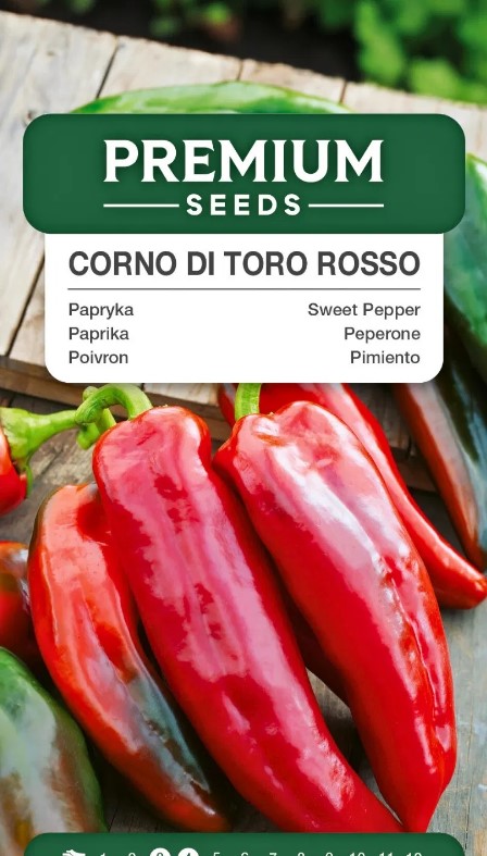 Paprika Corno di Toro Rosso punane