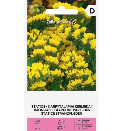 Kääruline parkjuur